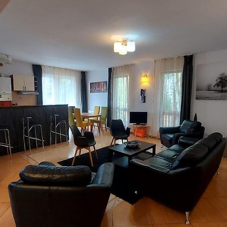 Apartament Roland 波亚纳布拉索夫 外观 照片