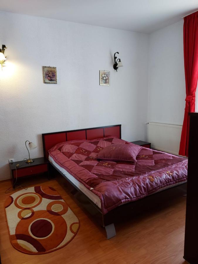 Apartament Roland 波亚纳布拉索夫 外观 照片